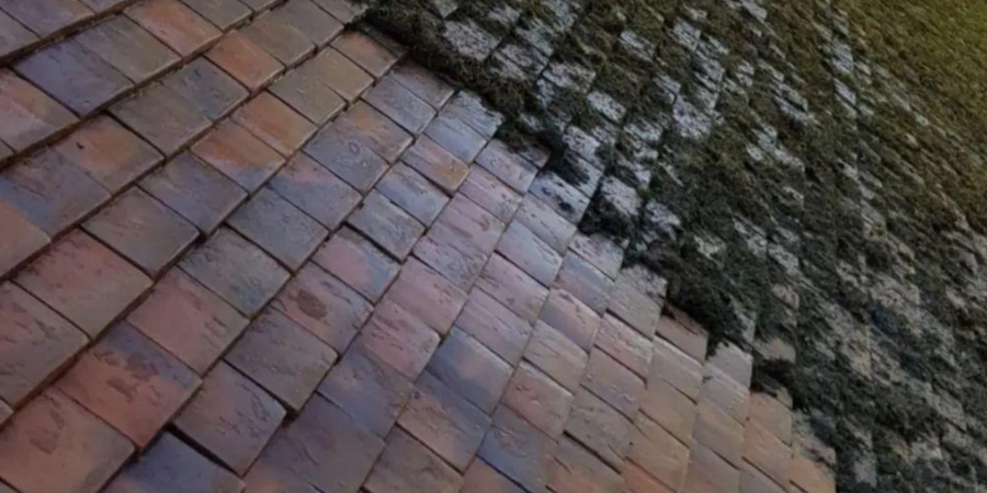 Roof Cleaning